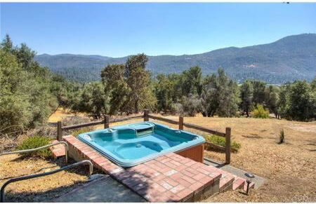 Black Bear Haven Hot tub Pool table BBQ Darts - Foto 9