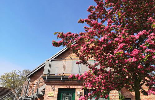 Ferienwohnung im Vogelhaus mit Dachterasse und großem Garten - Foto 17