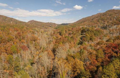 Little Blue in the Smoky Mountains - Foto 27