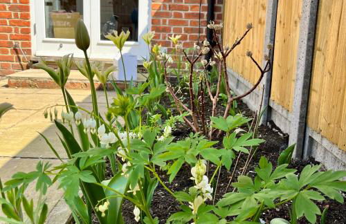 Goring Holiday House - Photo 36