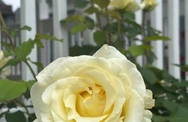 Boston Studio Apartment with Parking, next to Train or Buses, good Neighborhood - Foto 24