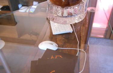 La Vigne de Papagran - Foto 50