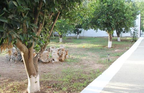 Elias Maro House - Photo 42