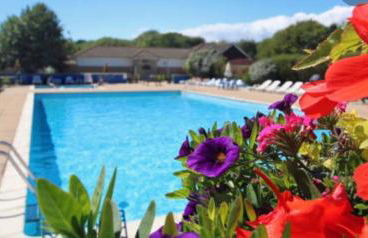 Jungle lodge - Photo 21