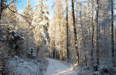 Fränkische Linie - Radspitz-Ferienwohnungen - Foto 17