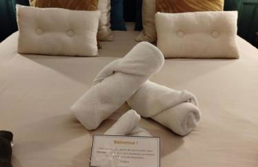 Nancy Vieille Ville Stanislas - Foto 4