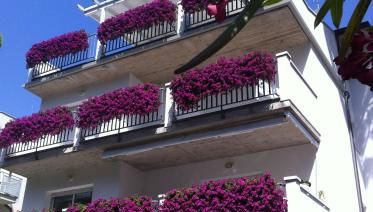 Residence Ola - Foto 1