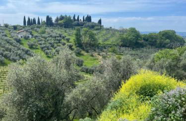 Villa con piscina vicino Roma - Foto 57