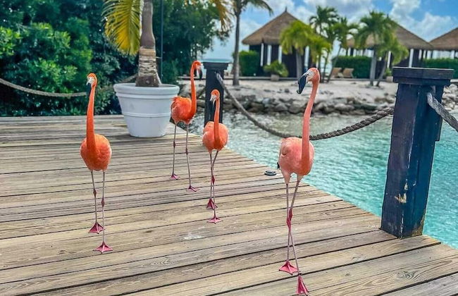 Remarkable 1-bed Apartment in Noord - Foto 25