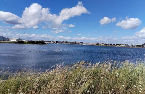 Zanflamme-Kernevel - Foto 1