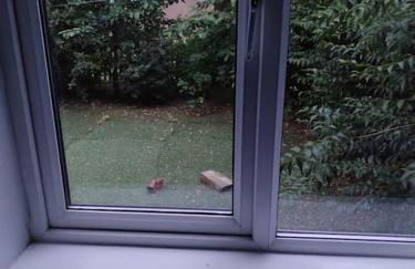 Cosy 2-bed apartment with free parking & ramp access - Foto 4