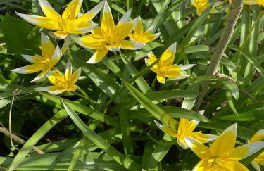 Zielone Zacisze - Foto 52