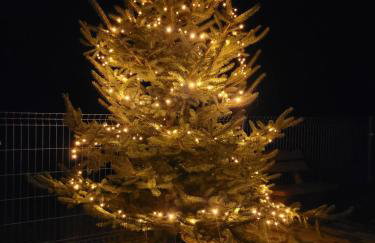 Agroturystyka Błądkowo 20A, Dom 11 miejsc - Foto 49