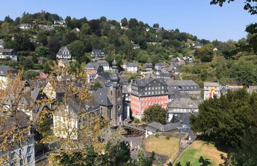 Villa Holgenbach - Penthouse und Ferienwohnung im Nationalpark Eifel - Foto 70