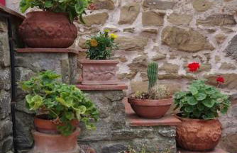 Villa Vestra in Vinci holiday home - Foto 10