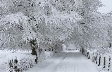 Ferienhaus Mone - Foto 33