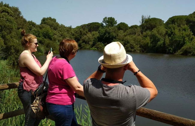 Doñana National Park 4x4 Tour - Photo 1