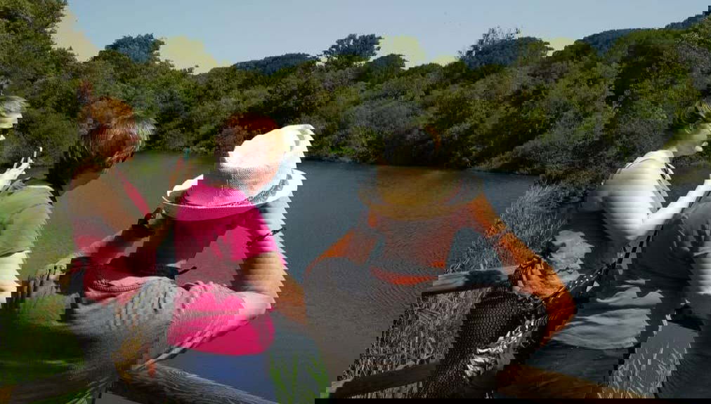 Doñana National Park 4x4 Tour - Photo 1