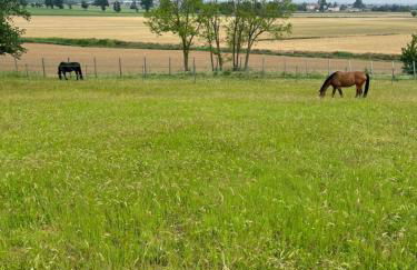 Agriturismo Villa San Lorenzo - Photo 23