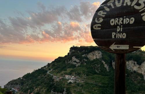 Agriturismo Orrido di Pino - Foto 48