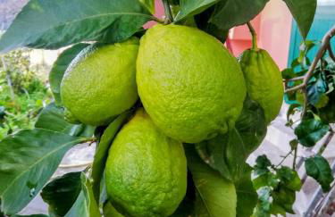 La notte sull'isola - Montaretto - tra il cielo e il mare - Foto 28