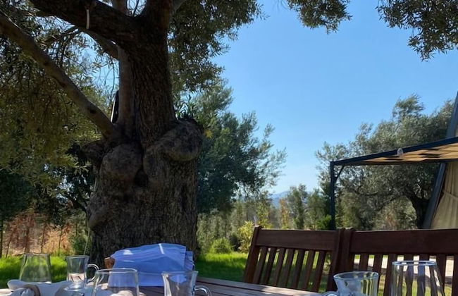 Byelka Bungalov - Foto 15