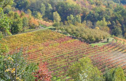 Agriturismo Affittacamere Barbarossa - Foto 59