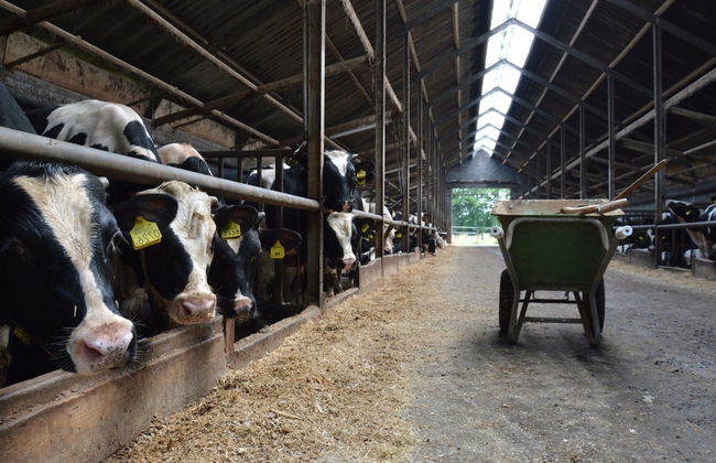 Romantic Farmhouse Escape - Photo 15