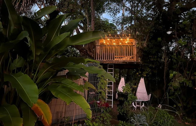 Miami Pool Cottage in El Portal - Foto 5