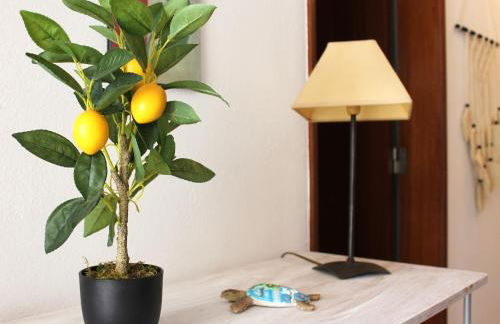 Casa do Limoeiro - Foto 6