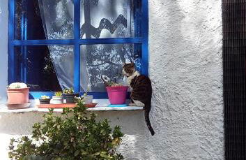 Cortijo Buena Vista - Photo 31