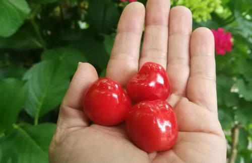 Casa Do Palheiro - Photo 72