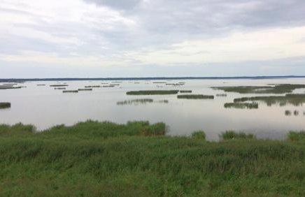 Apartamenty Pod Jesionem - Foto 13