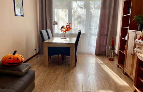 Apartament na Saperskiej, osiedle zamknięte, parking - Foto 14