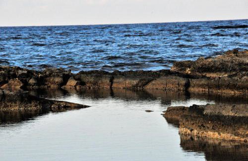 Cornelia Hippie Magic Bus - Foto 63