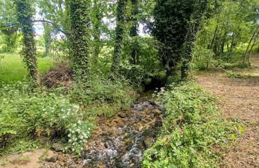 As Casinhas de Santo Ovidio - Foto 22