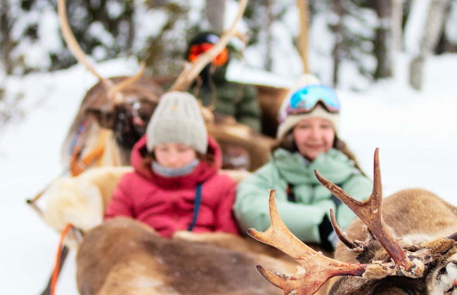 Reindeer Farm Visit - Foto 1