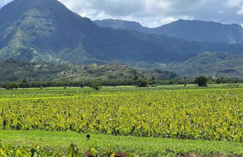 Kauai Beach Villas E16 - Foto 46