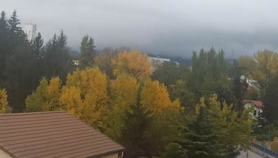 MI LUGAR FAVORITO SABI - Foto 4