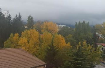 MI LUGAR FAVORITO SABI - Foto 4