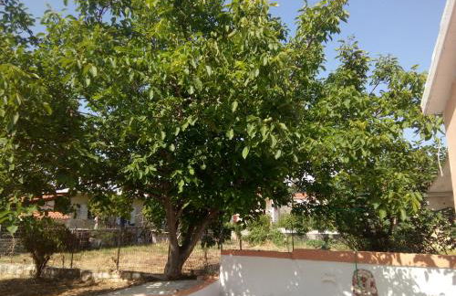 Ralloy Hoyse - Foto 13