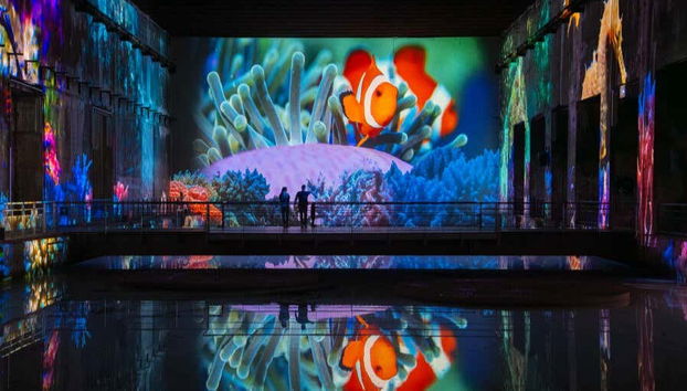 Les Bassins des Lumières Tickets - Photo 4