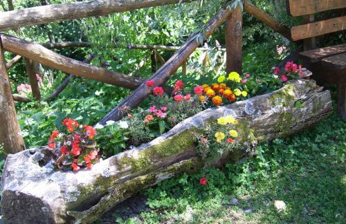 Agriturismo Il Falco del Monte Fumaiolo - Foto 39