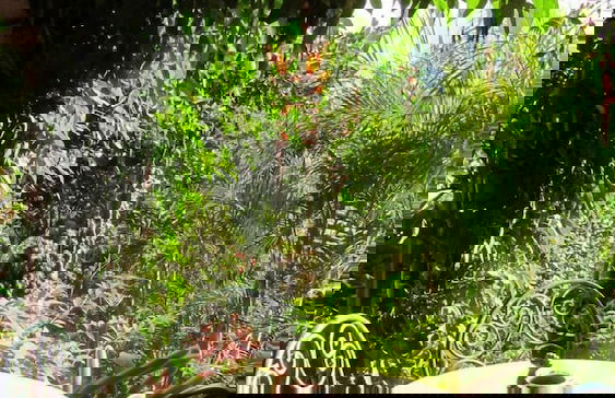 Casa Hagan - Foto 13