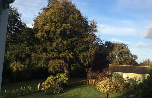 Beech Hut - a streamside family escape near Salcombe and Beaches - Foto 43