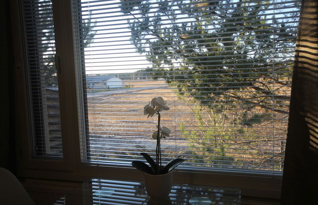 Huoneistohotelli Jääskän Loma - Foto 11