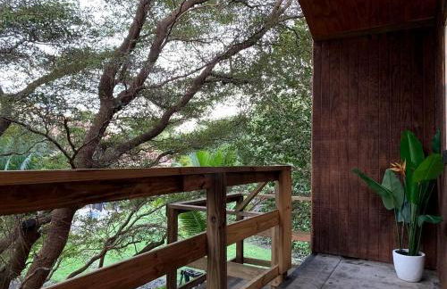 Modern Treehouse Rental with Pool for Glamping in Florida - Foto 5