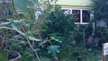 Apartments Vesna - Foto 2