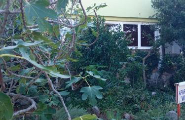 Apartments Vesna - Foto 2