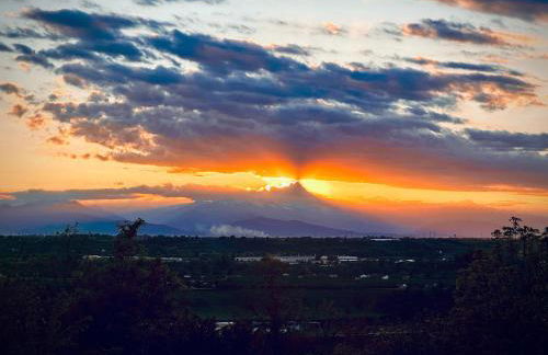 Ali e Radici Vacanze Piemonte - Foto 31